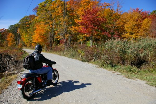 1-Gary on Triumph - foliage