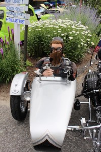 1-Sportster - Sidecar Willie