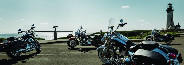 15_SOFTAIL-Family1