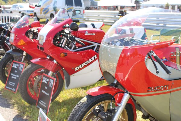 Ducatis