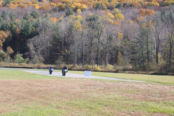 David Gelerter on track