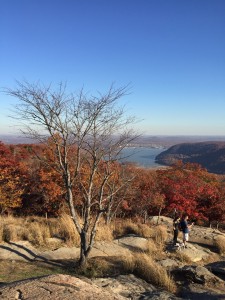 Bear Mountain - v