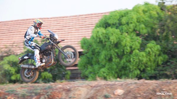 Himalayan - wheelie