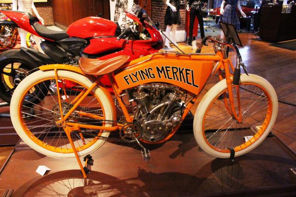 Flying Merkel