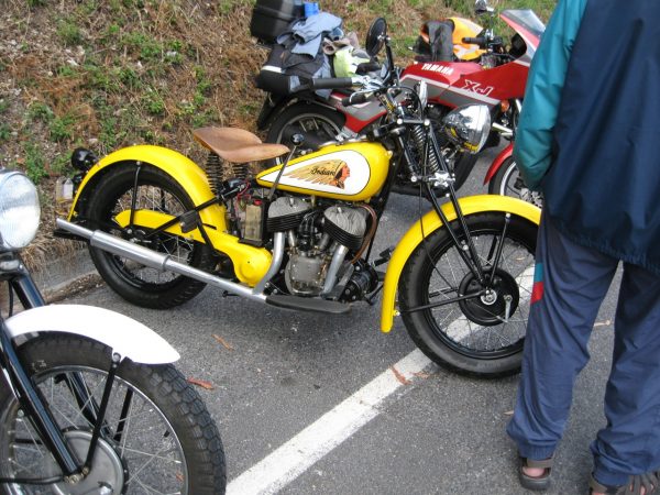 Indian - yellow