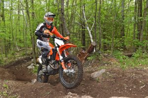 Trail riding - 1