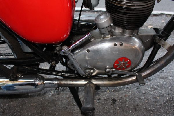 bsa-kicker