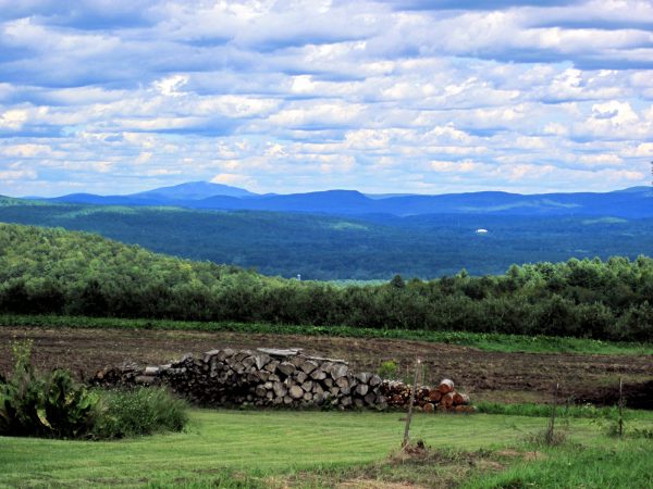 e-b-marshall-panorama